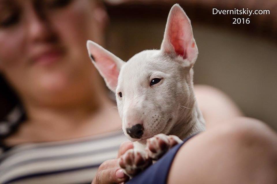 Пусть у каждого будет то, что гораздо важнее денег.. Доброе утро, Булегородок!