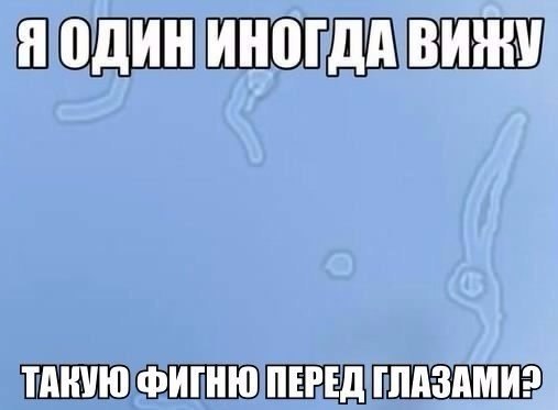  - 25  2016  14:08