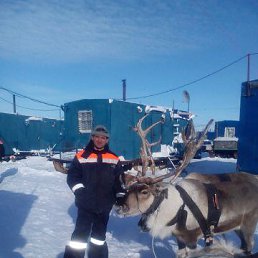 ������, ��������, 56 ���