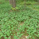 ���� ����, ������ - ��������� 24 ��� 2016 � ������ ��������,�������, �������� ��� ������...�