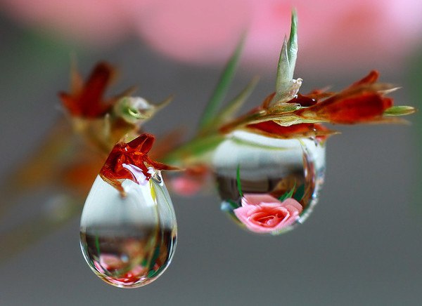 Anett - 22  2016  19:46