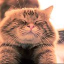 ���� Murr, �����-��������� - ��������� 7 ������ 2016 � ������ �3�