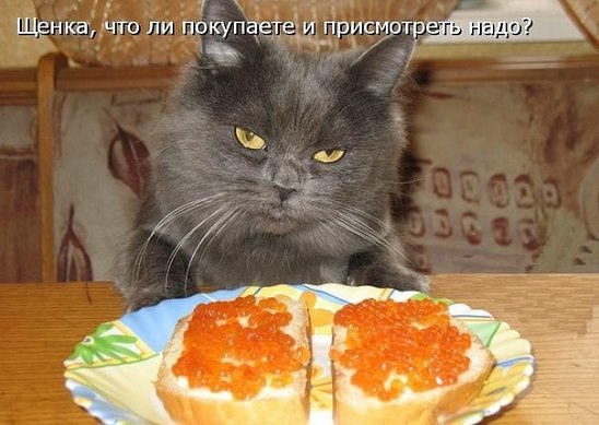  - 29  2016  17:49