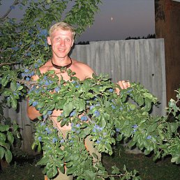 ��������, ���������, 47 ���