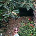 ���� �����, ������� - ��������� 21 ������ 2016