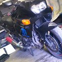 ���� ����������, �������, 35 ��� - ��������� 18 ��� 2016 � ������ ���� ����������