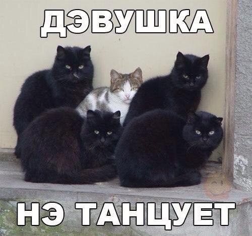 �� ��� ��� �����! - 3 ��� 2016 � 09:19