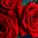 ���� Sviatlana, ���������� - ��������� 6 ������ 2016 � ������ ������ ��������