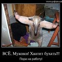 ���� A�����, �����-���������, 48 ��� - ��������� 31 ����� 2016 � ������ ������ ��������