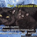  ********, - -  29  2016   