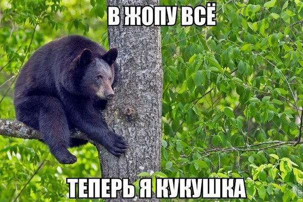 �������� ������ � ������ - 22 ���� 2016 � 00:20