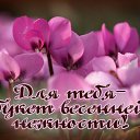 ���� ����, ����������� - ��������� 25 ������ 2016 � ������ �������� ��������