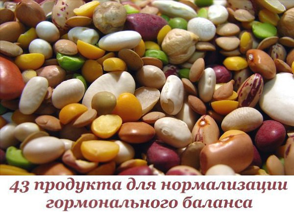 43 продукта для нормализации гормонального баланса: организм будет работать как часы. Правильный ...