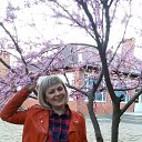 ���� ���������, ����, 59 ��� - ��������� 24 ������ 2016 � ������ ���� ����������