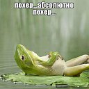 ���� ��������, ����-���������, 49 ��� - ��������� 6 ���� 2016 � ������ ���� ����������