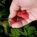 ���� ������, �����������, 64 ���� - ��������� 25 ���� 2016 � ������ �...���� ��������...�