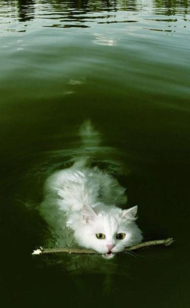 � ���� �� ������� ���� ������� ���, ��� �� ���.