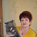 ���� ��������, ������ - ��������� 14 ������ 2016 � ������ ���� ����������