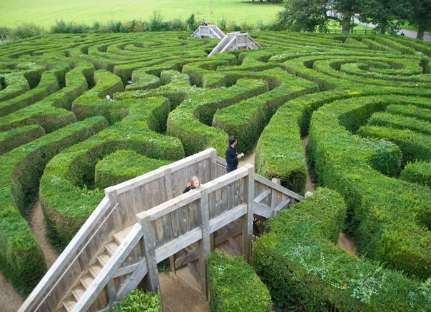        Longleat Hedge Maze,    ! ...