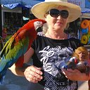 ���� ������, ��������, 63 ���� - ��������� 12 ���� 2016 � ������ ���� ����������