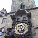 ���� �������, ������, 37 ��� - ��������� 24 ��� 2016 � ������ ���������