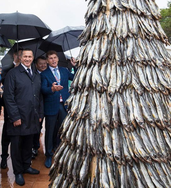 "А одну рыбку на переднем плане кто-то скоммуниздил!"