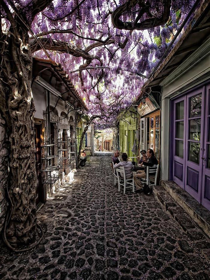 Molyvos, , 