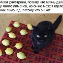 ���� ������, �����, 45 ��� - ��������� 31 ������� 2016 � ������ ������ ��������