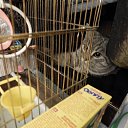 ���� ������, �����, 44 ���� - ��������� 21 ���� 2016 � ������ ���� ����������