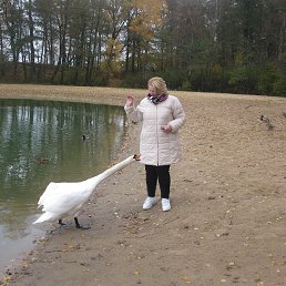 ������, �������, 65 ���