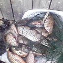 ���� ����, ���������, 41 ��� - ��������� 3 ������ 2016 � ������ ������� �����