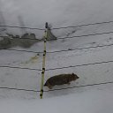 ���� ����, ������������, 35 ��� - ��������� 12 ���� 2016 � ������ �Moscow 2016 January�