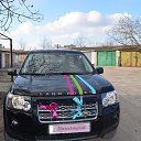���� ������, ���������, 42 ���� - ��������� 26 ����� 2016 � ������ �282�