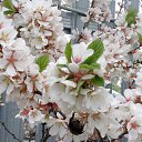 ���� �������, ������ - ��������� 5 ��� 2016 � ������ �������� ��� 2016�