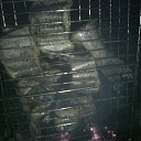 ���� Gena, ��������, 58 ��� - ��������� 19 ���� 2016 � ������ ������ ��������