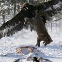 ���� Brodjaga, ������, 57 ��� - ��������� 5 �������� 2016 � ������ ���� ����������