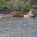 ���� ����, ������������, 35 ��� - ��������� 12 ���� 2016 � ������ �Vacation Abkhazya 2014 November�