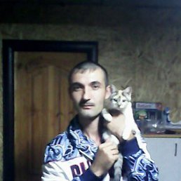 �������, ��������, 49 ���