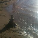 ���� �����, �����-���������, 54 ���� - ��������� 8 �������� 2016 � ������ ���� ����������