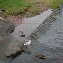 ���� Lina, ������ - ��������� 21 ��� 2016 � ������ ������ �������