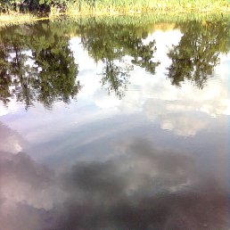 ���� Andrey, ������� - ��������� 5 ���� 2016