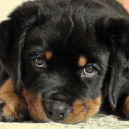 ���� ������, �����-���������, 64 ���� - ��������� 25 ������ 2016