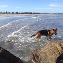 ���� Sergey, ���� ����, 59 ��� - ��������� 31 ���� 2016 � ������ ���������