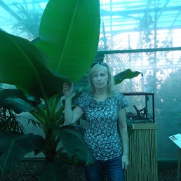 ������, �������, 74 ����