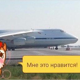 �������, ������� ������, 44 ����