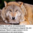 ���� ���, ����, 45 ��� - ��������� 29 ����� 2016 � ������ �����Ȼ