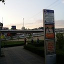 ���� ������, ������, 39 ��� - ��������� 9 ���� 2016 � ������ ����� ���� 2016 ���.�