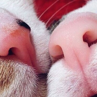 ������ ������� ������. ������� �����, ����������� ��������, �������� ������� � ������� �����, ... - 6