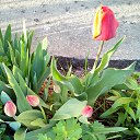 ���� Vassa, ���� - ��������� 18 ������ 2016 � ������ ������ ��������