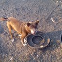 ���� �����, ������, 37 ��� - ��������� 6 ������� 2016 � ������ ������ ��������